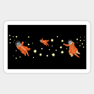 Space cats. Astronauts cats Magnet